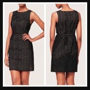 Ann Taylor LOFT Eyelet Lace Dress black nude 2 4